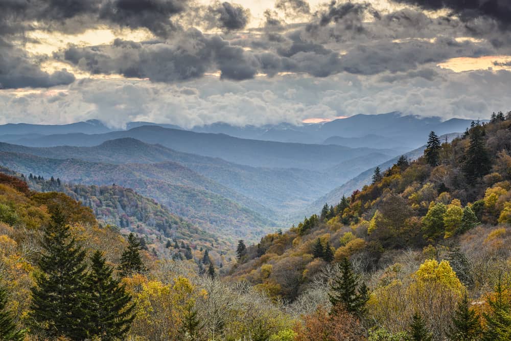 Cucumber Gap Loop Hiking Trail - Smoky Mountains Things To Do