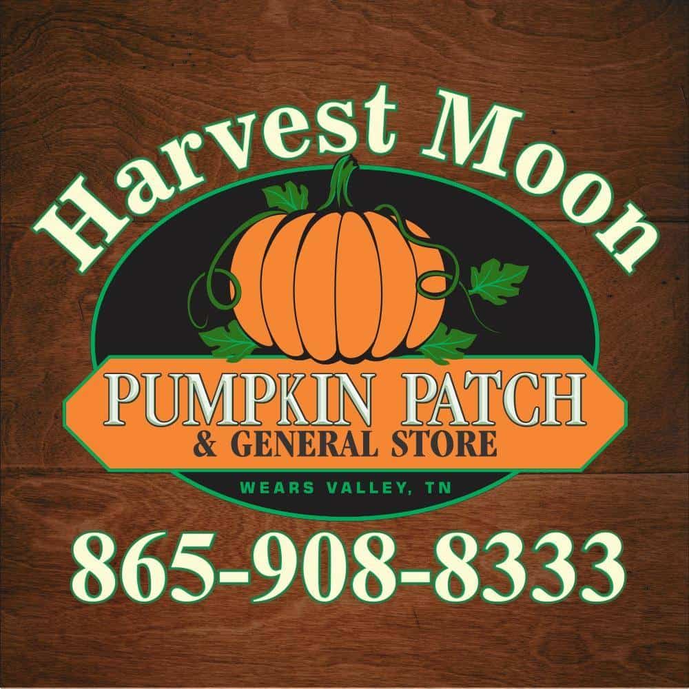 harvest moon pumpkin patch