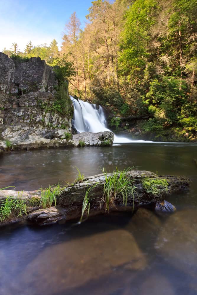 Abrams Falls Hiking Trail