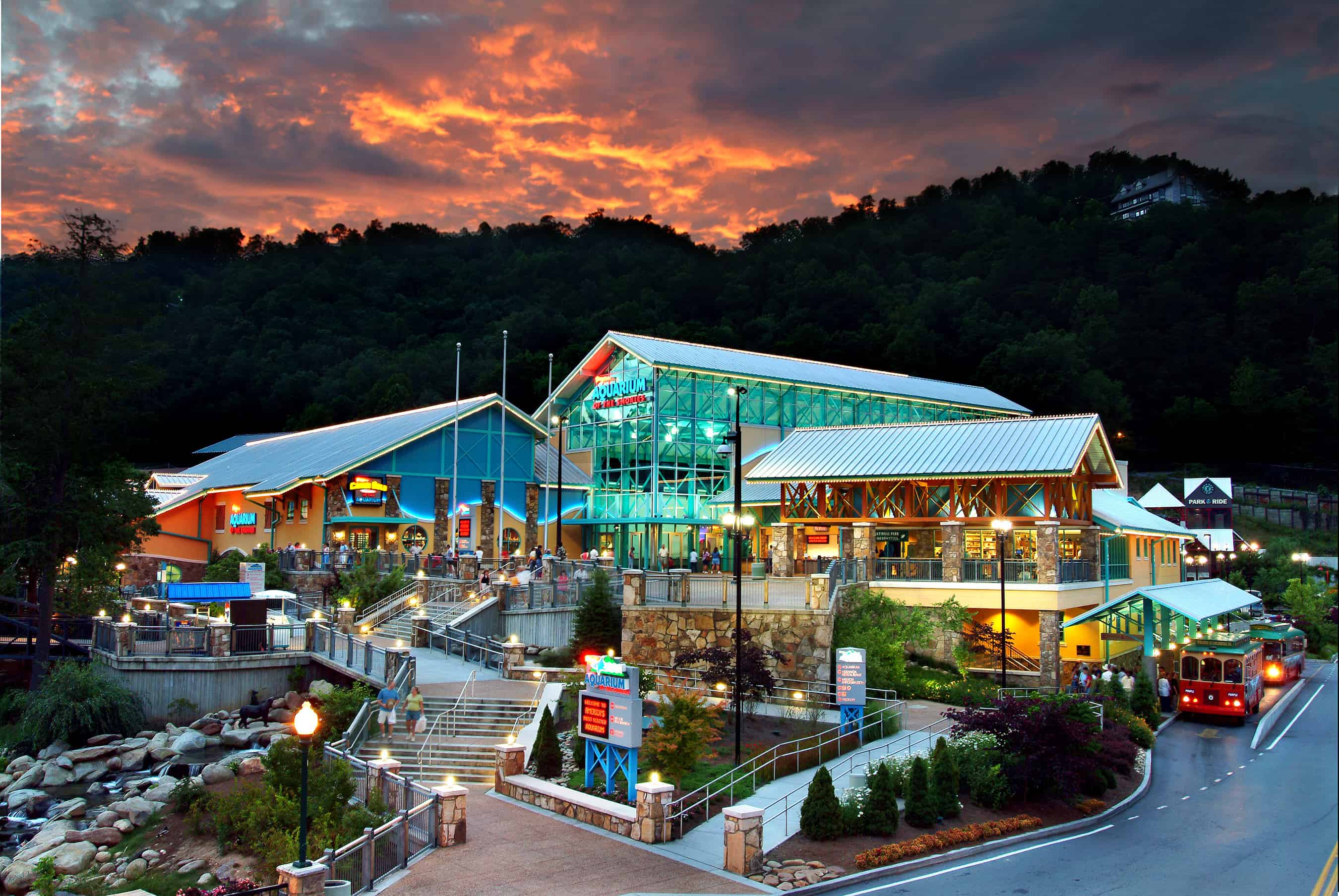 Ripley's Aquarium Of The Smokies