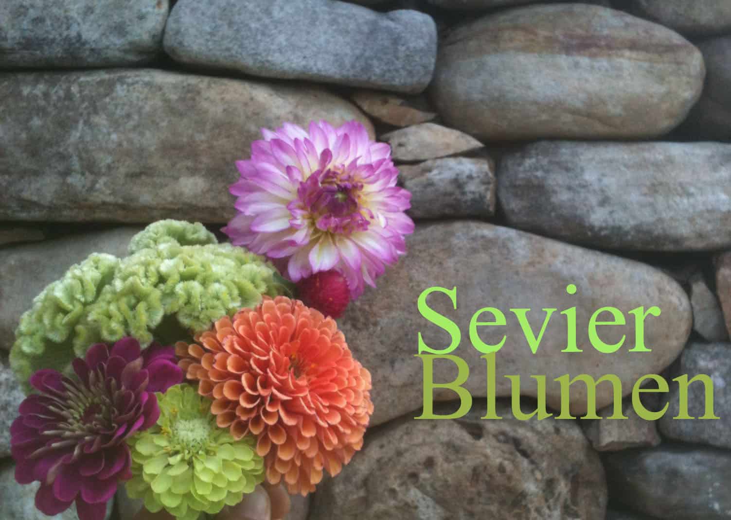 Sevier Blumen