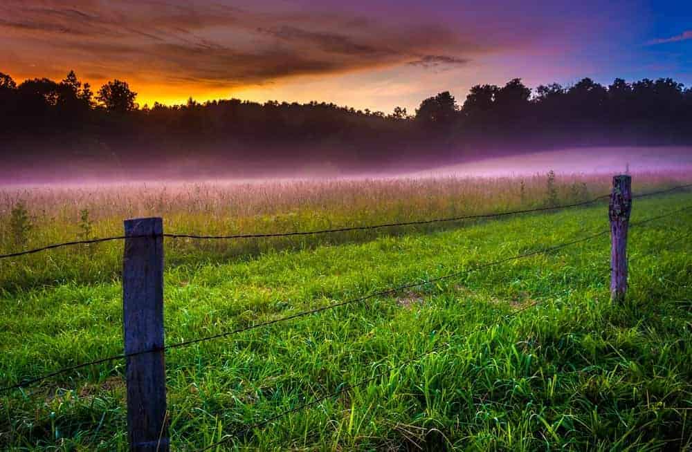 Great Smoky Mountains National Park Gets First Female Chief Ranger