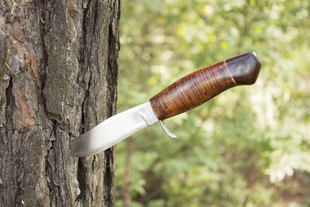Multi-Purpose Kitchen Shears - Smoky Mountain Knife Works