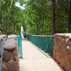 Discover Foxfire Swinging Bridge Adventure