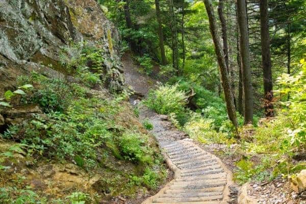 Alum Cave Trail to Reopen After Two Year Restoration Project