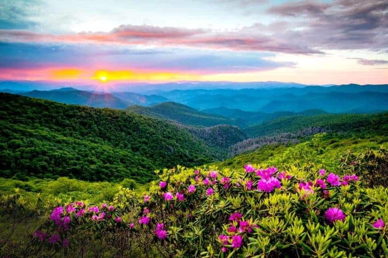 The Ultimate Guide to Visiting the Great Smoky Mountains National Park