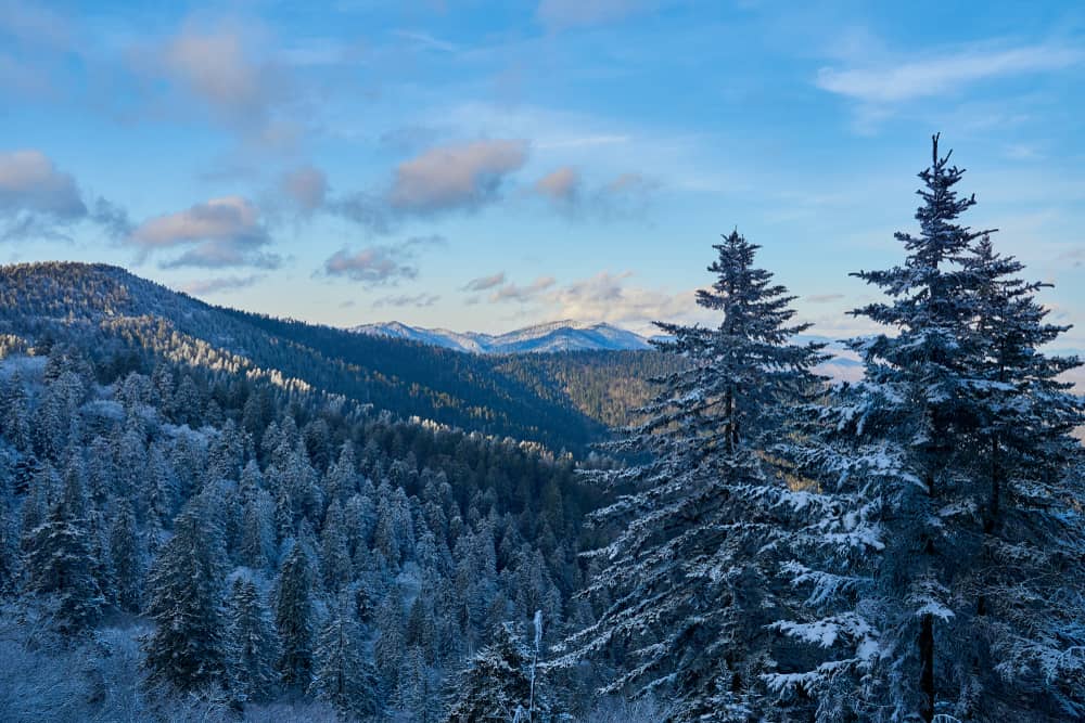 5 Things to Do in the Smoky Mountains With Kids This Winter