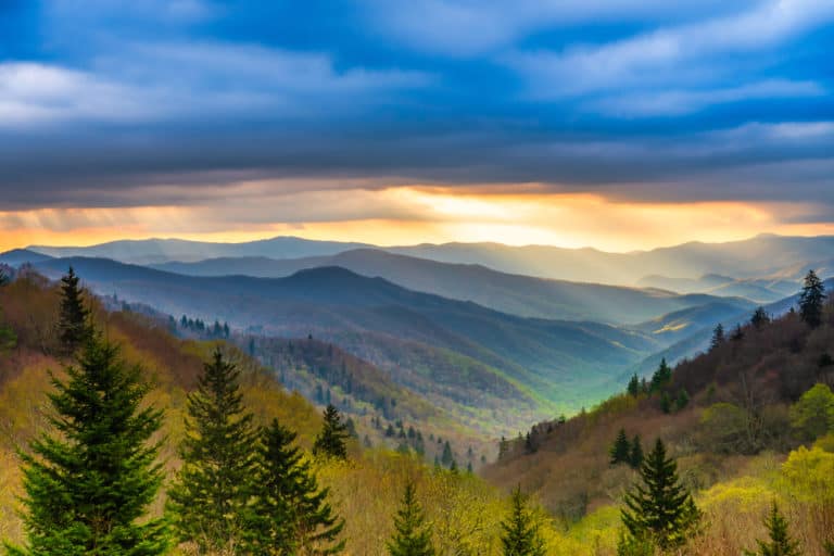 5 Ways to Enjoy the Beautiful Spring Weather in the Smoky Mountains