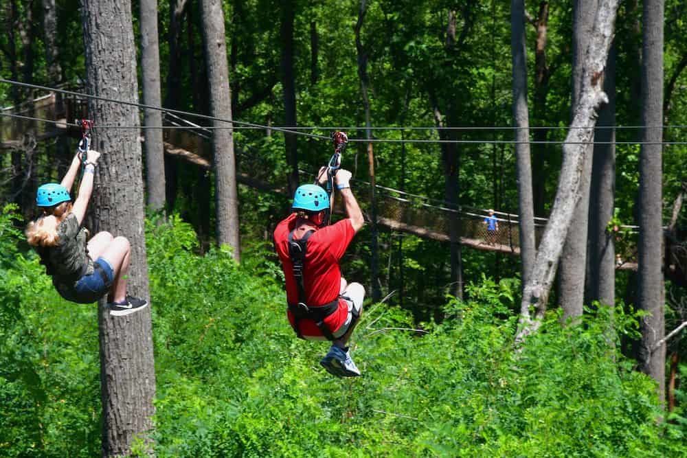 Blooms & Tunes: Guide to the Spring Festival at Anakeesta in Gatlinburg