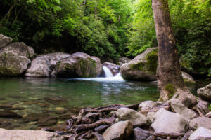 swimming hole in the smoky mountains