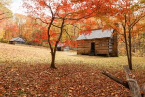 Jim Bales homestead on Roaring Fork Motor Nature Trail in fall