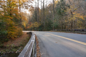 fall leaves surrounding Foothills Parkway in Wears Valley