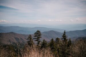 Smokies from up top