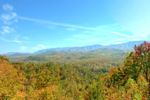 A Mountain View Theater Lodge