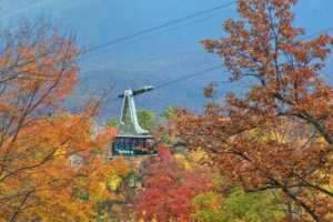 A Mountain View Theater Lodge