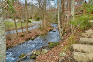 A Kiss On The Creek