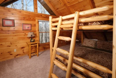 Smoky Treehouse Lodge  #614