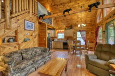 Wow! What A Cabin #255