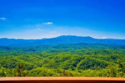 LeConte Overlook