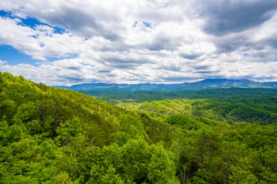 LeConte Overlook