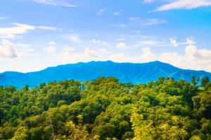 A Gatlinburg Heavenly View