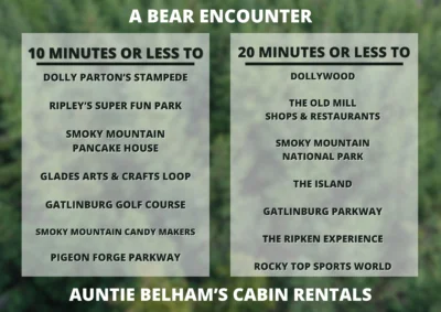 A BEAR ENCOUNTER