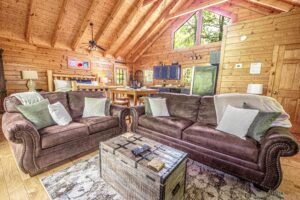 Spacious living area with sleeper sofa