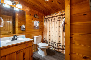 Full Bath #2 - lower level off of game room - shared by Bedroom #2 and bunk beds in game room