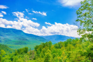 mountain view from cabin